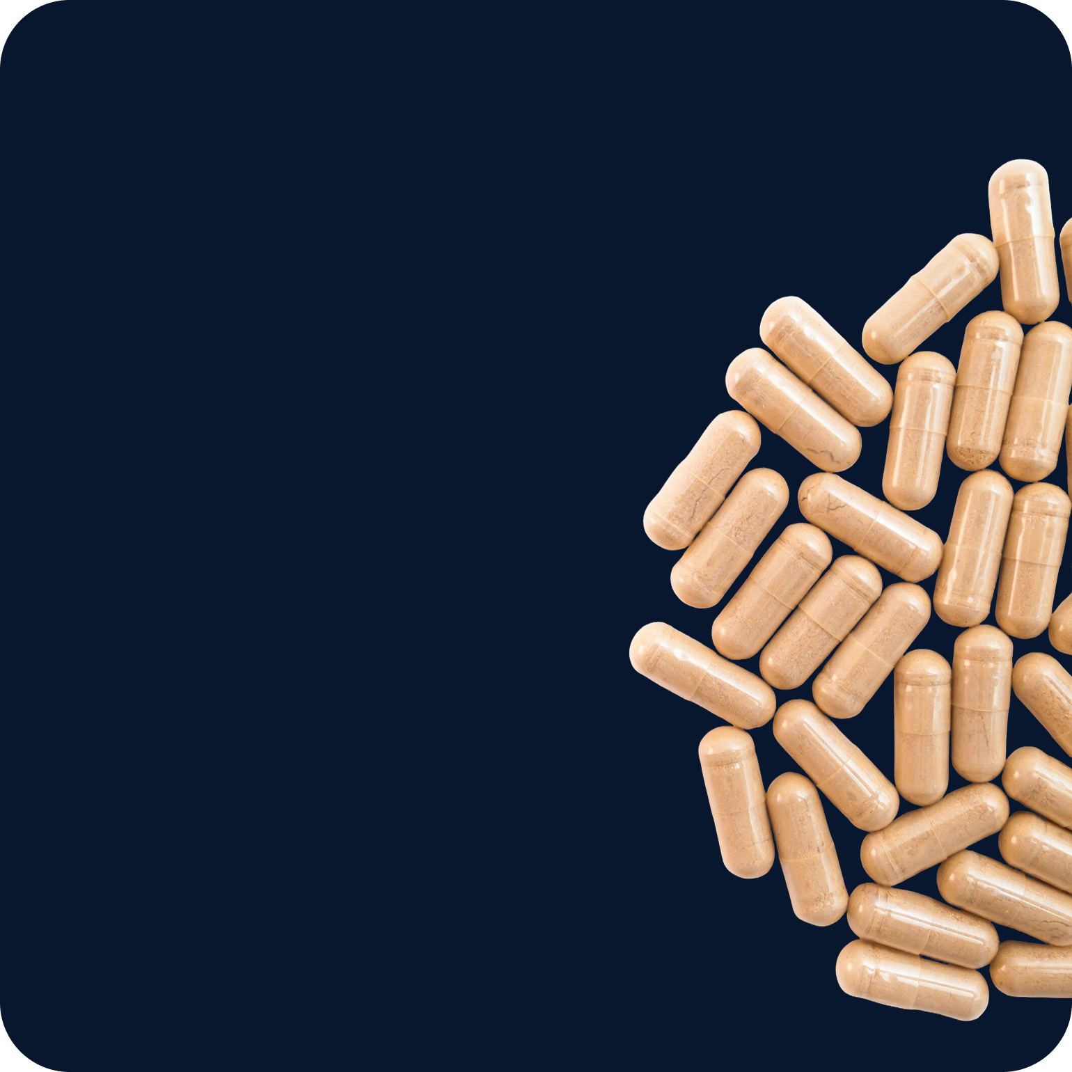 Magnesium & L‑Theanin – das Duo für Ruhe, Fokus &amp; hormonelle Balance